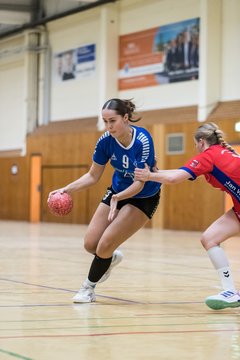 Bild 294 - wBJ TSV Ellerau - HSG Schue/We/Re : Ergebnis: 23:15